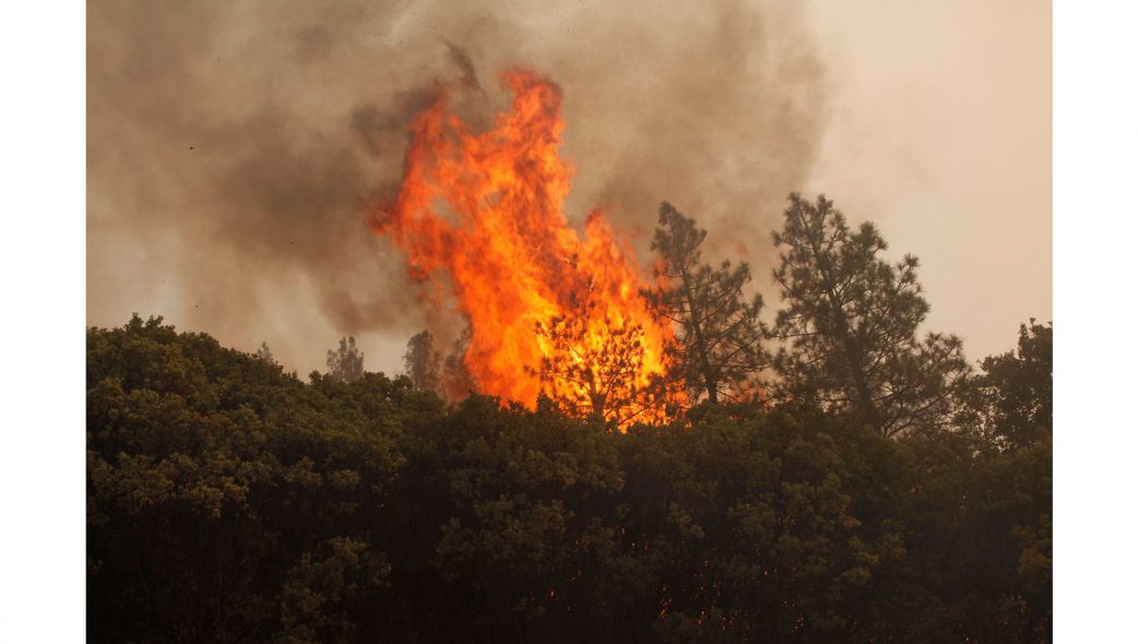 Galleries – Jen Osborne